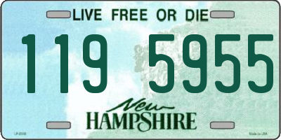 NH license plate 1195955