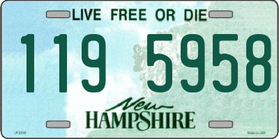 NH license plate 1195958