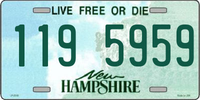 NH license plate 1195959