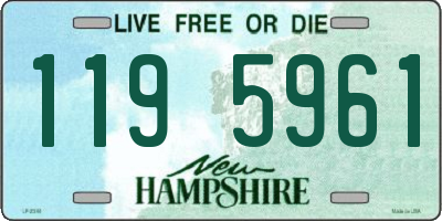 NH license plate 1195961