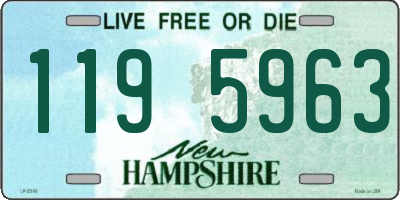 NH license plate 1195963