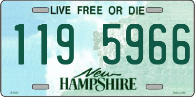 NH license plate 1195966