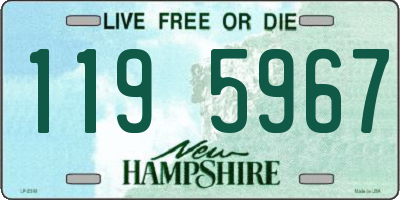 NH license plate 1195967