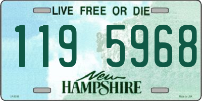 NH license plate 1195968