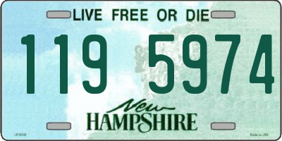 NH license plate 1195974
