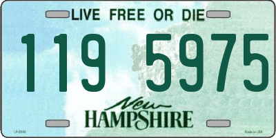 NH license plate 1195975