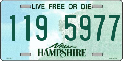 NH license plate 1195977