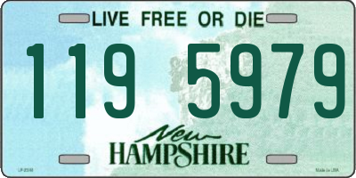 NH license plate 1195979