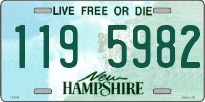 NH license plate 1195982
