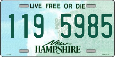NH license plate 1195985