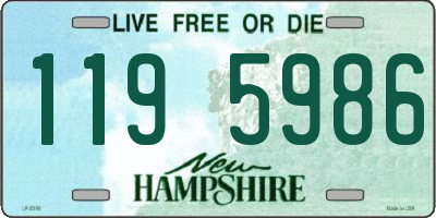 NH license plate 1195986