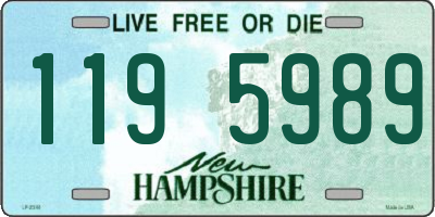 NH license plate 1195989