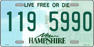 NH license plate 1195990