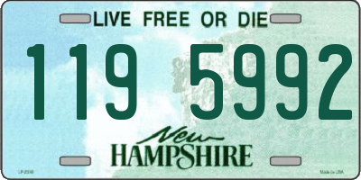 NH license plate 1195992