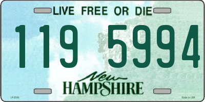 NH license plate 1195994