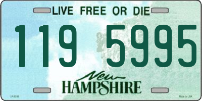 NH license plate 1195995