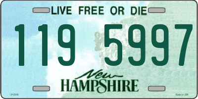 NH license plate 1195997