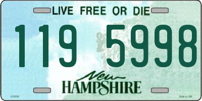 NH license plate 1195998