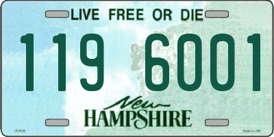 NH license plate 1196001