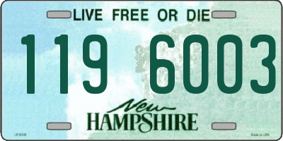 NH license plate 1196003