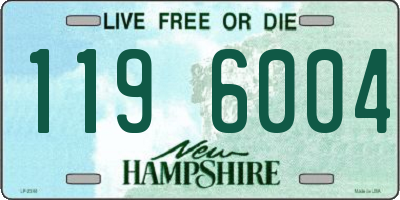 NH license plate 1196004