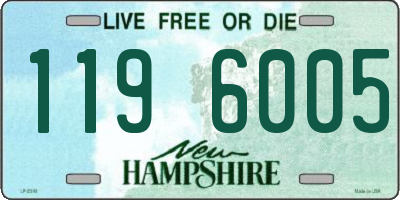 NH license plate 1196005