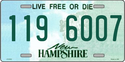 NH license plate 1196007