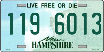 NH license plate 1196013