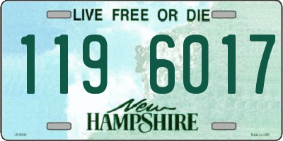 NH license plate 1196017
