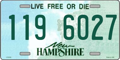 NH license plate 1196027
