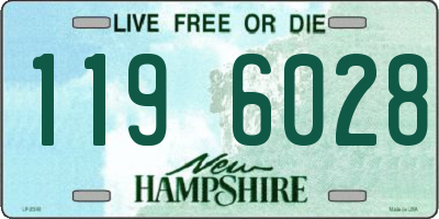 NH license plate 1196028
