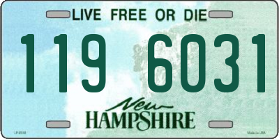 NH license plate 1196031