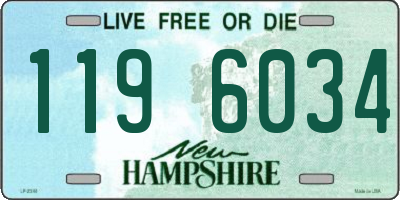 NH license plate 1196034