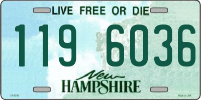 NH license plate 1196036