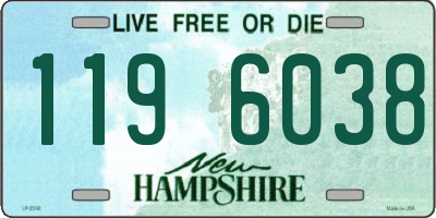 NH license plate 1196038