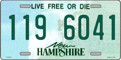 NH license plate 1196041