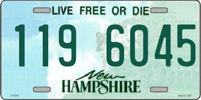 NH license plate 1196045