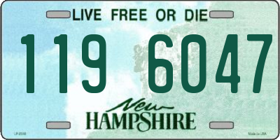 NH license plate 1196047