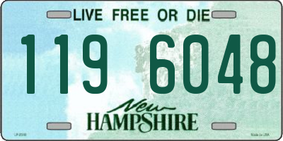 NH license plate 1196048
