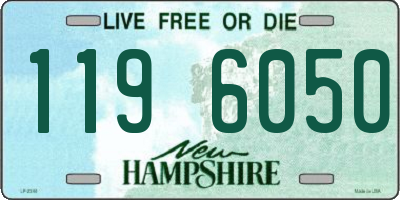 NH license plate 1196050