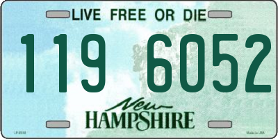 NH license plate 1196052