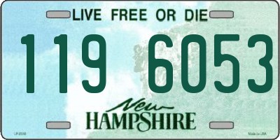 NH license plate 1196053