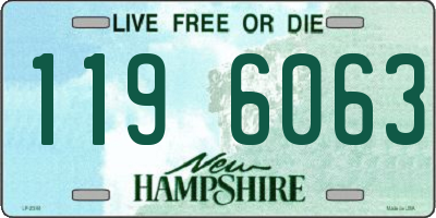 NH license plate 1196063