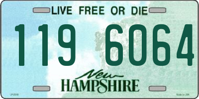 NH license plate 1196064