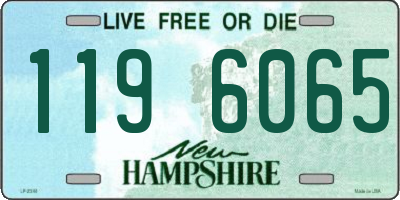 NH license plate 1196065