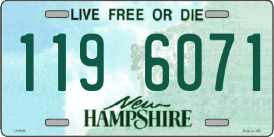 NH license plate 1196071