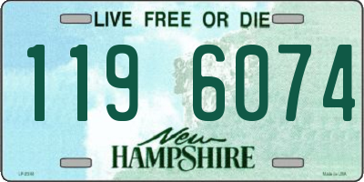 NH license plate 1196074