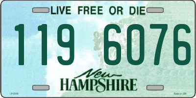 NH license plate 1196076