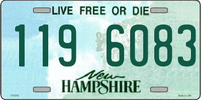 NH license plate 1196083