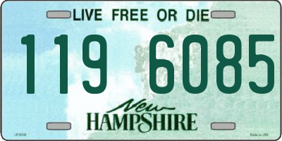 NH license plate 1196085